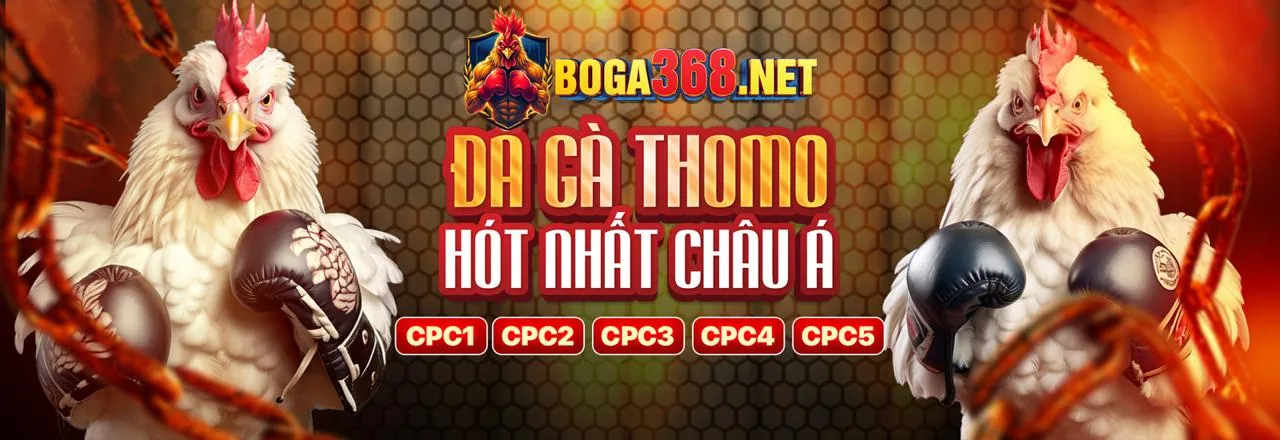 Đá Gà Trực Tuyến 95vn